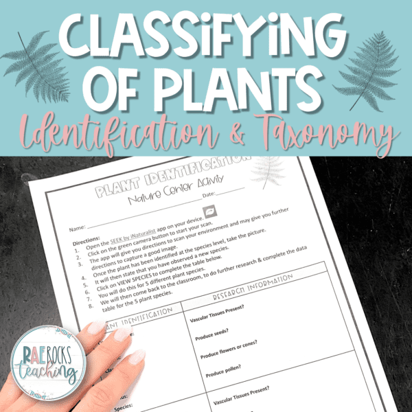 Classifying Of Plants Rae Rocks Teaching