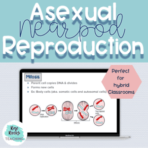 asexual reproduction definition
