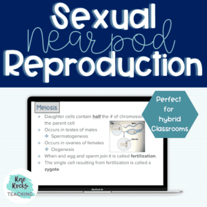 sexual reproduction definition