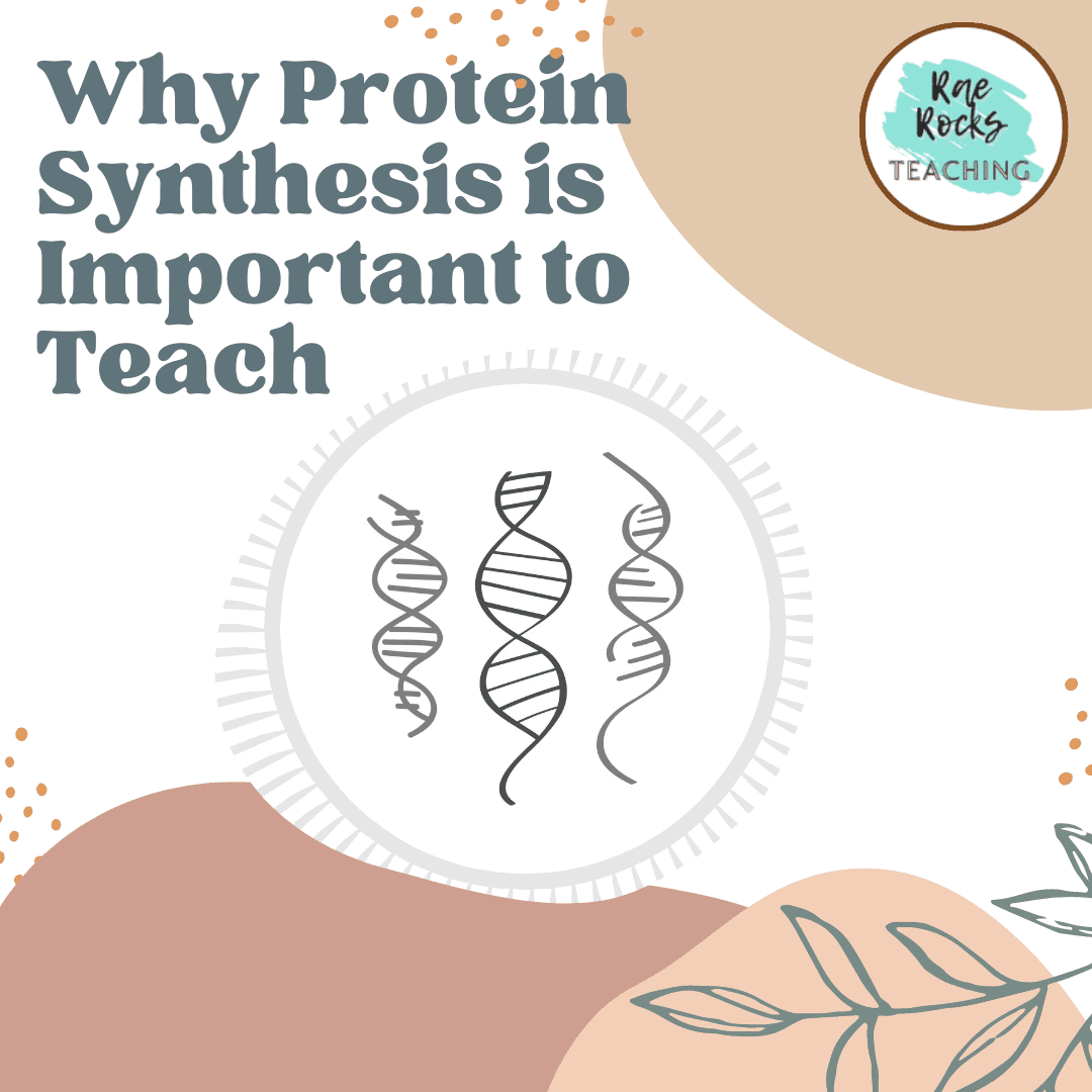 helix showing why protein synthesis is important to teach