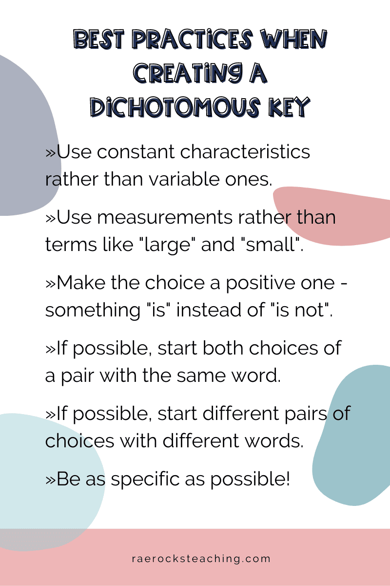 List of best practices when creating a dichotomous key