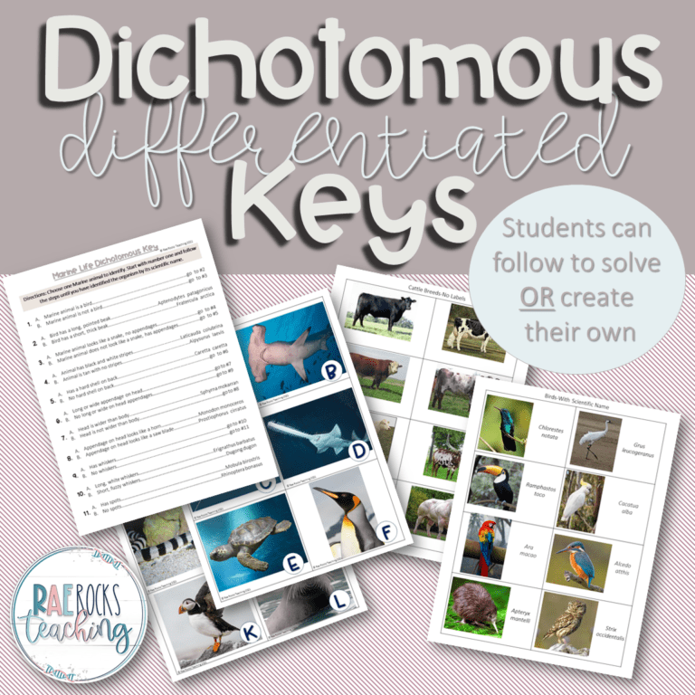 The Best Way To Teach Students How To Use The Dichotomous Key - Rae ...