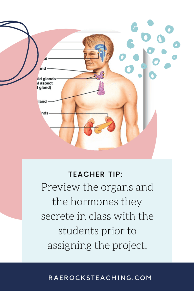 endocrine system experiments high school