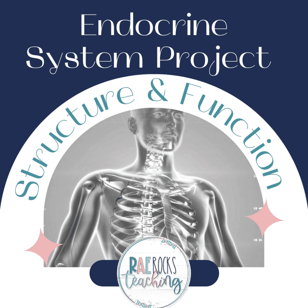 Title of blog post for The Most Exciting Endocrine System Function Project Idea for Anatomy