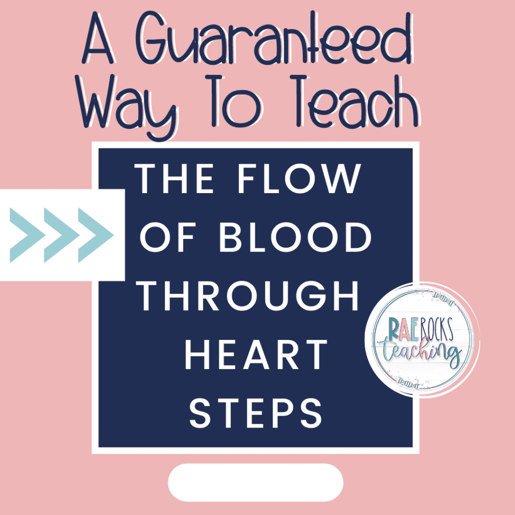 Title image of blog post a guaranteed way to teach the flow of blood through heart steps