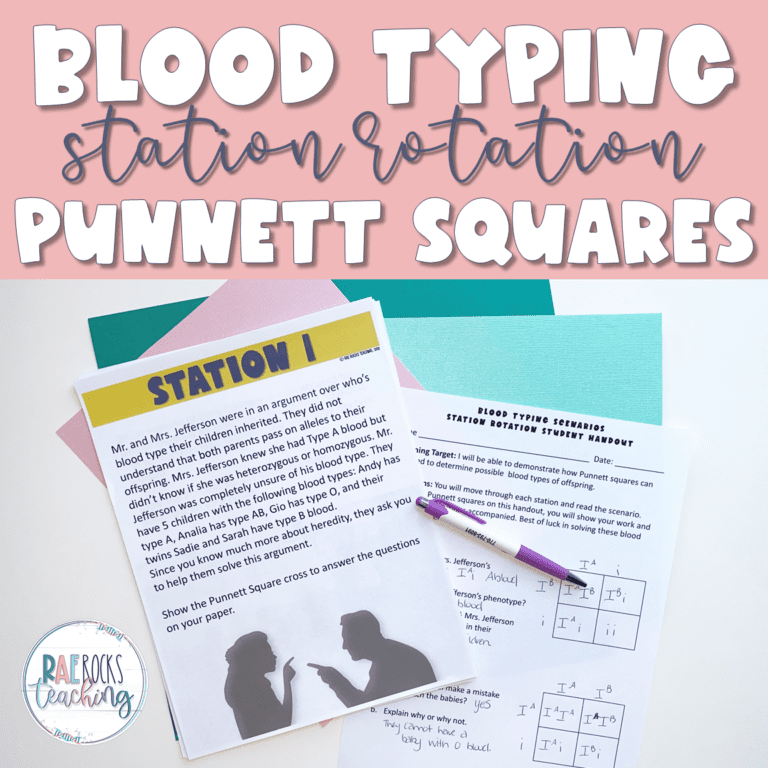 Punnett Squares Blood Types Rae Rocks Teaching