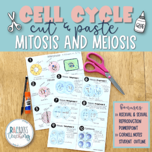 cell cycle for mitosis cover page