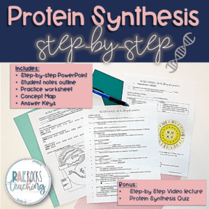 protein synthesis steps product preview