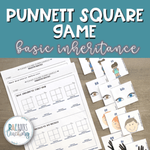 punnett square practice answer key