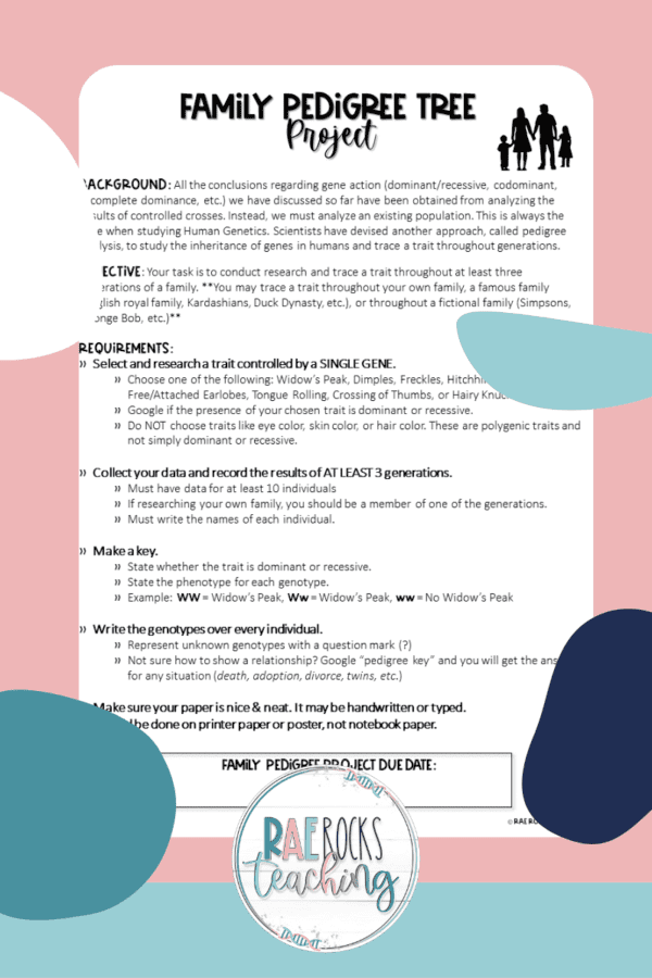 Fun Family Tree Pedigree Project Example to Use in Biology - Rae Rocks ...