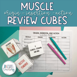picture of muscle cubes