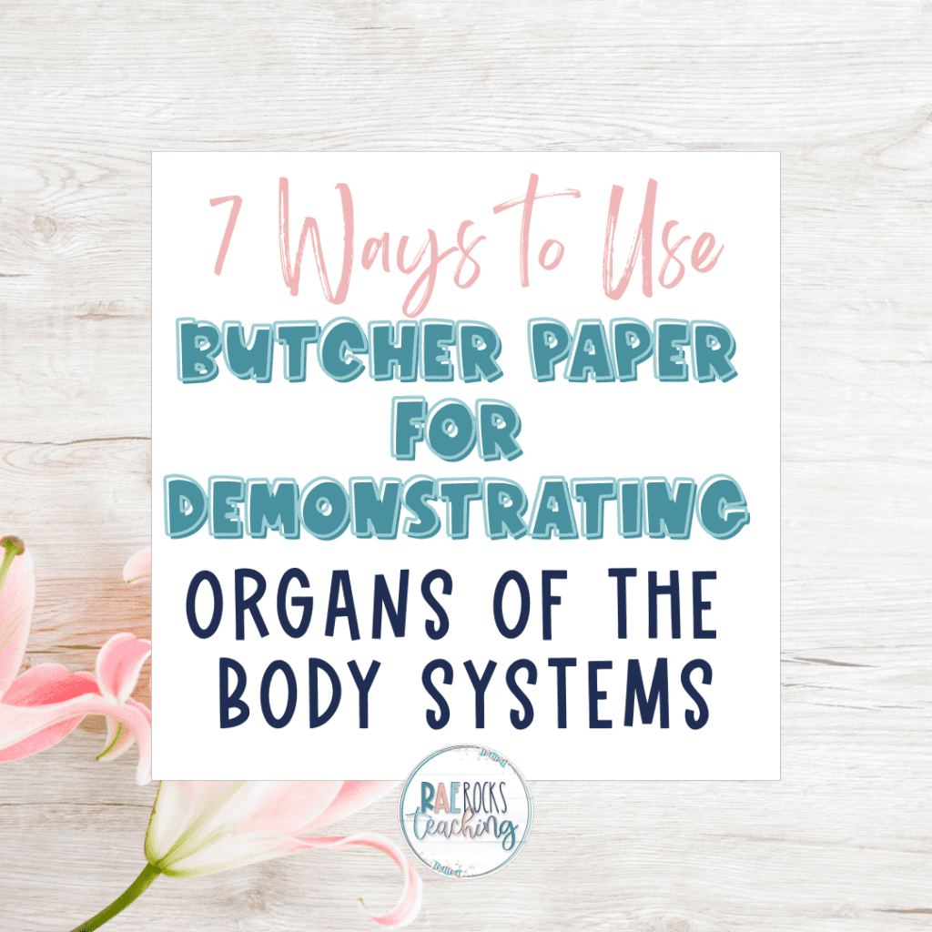 organs of the body systems