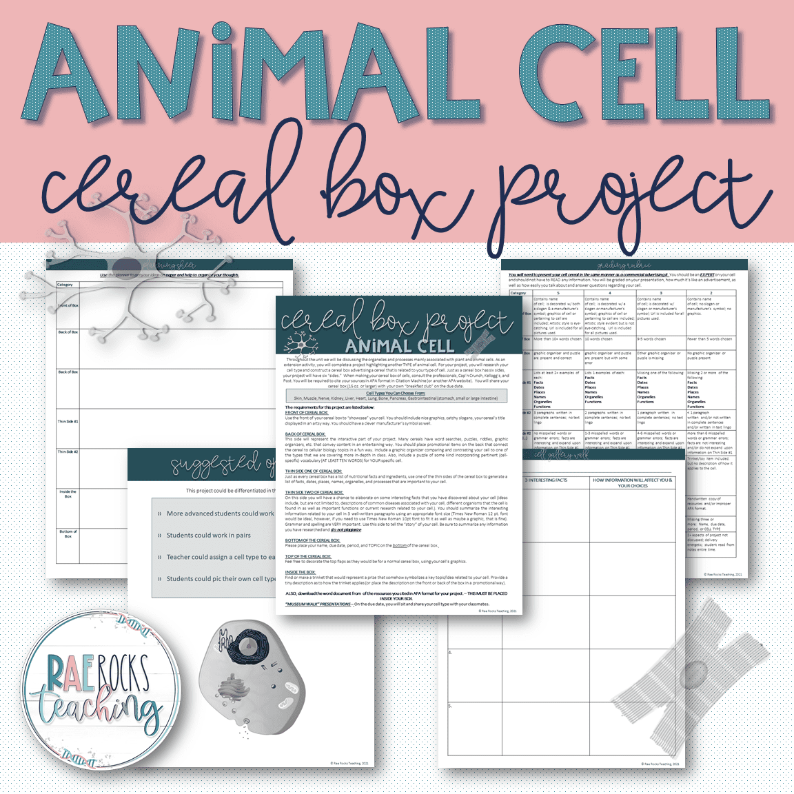 Animal Cell Project - Rae Rocks Teaching