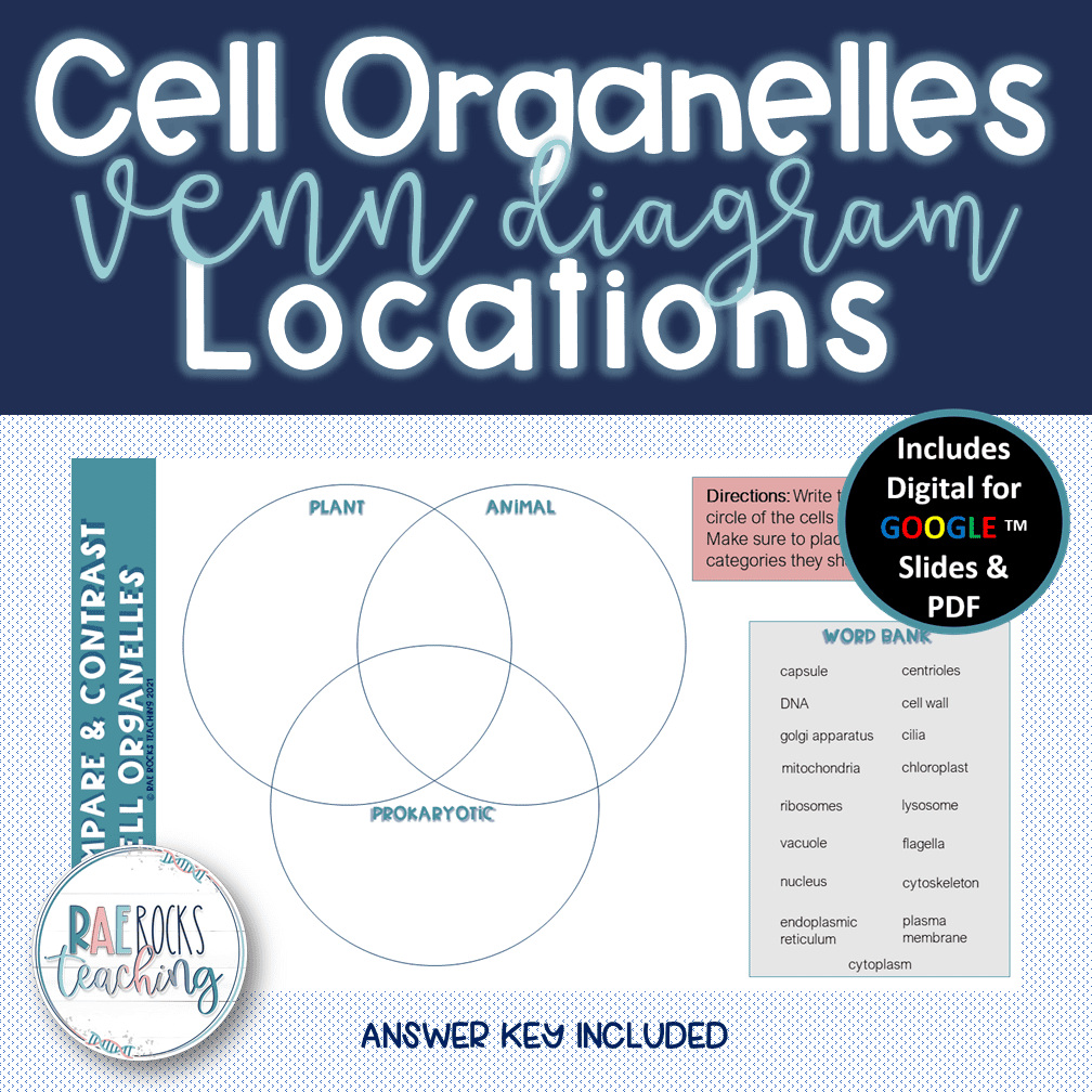 organelles diagram