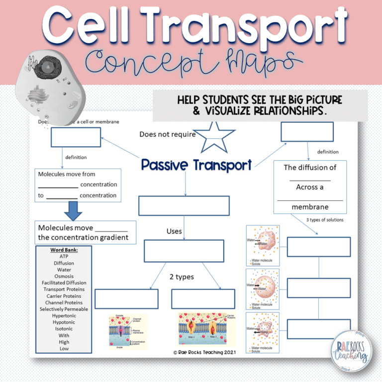 Cell Transport Review Worksheet Rae Rocks Teaching   Cell Transport Concept Maps 2 768x768 