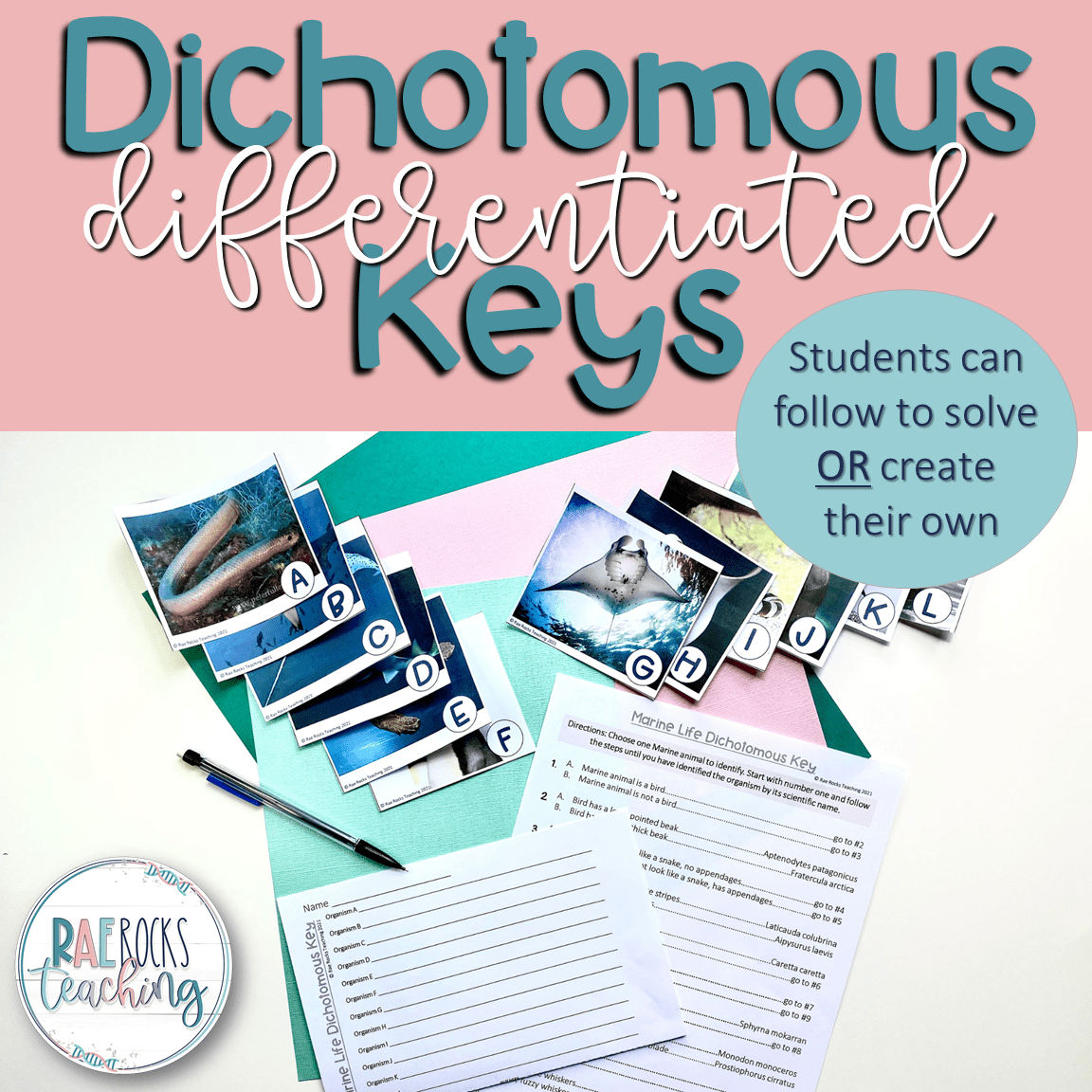  What Are Dichotomous Keys Rae Rocks Teaching