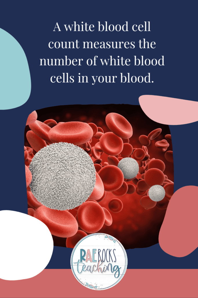 white blood cell count experiment