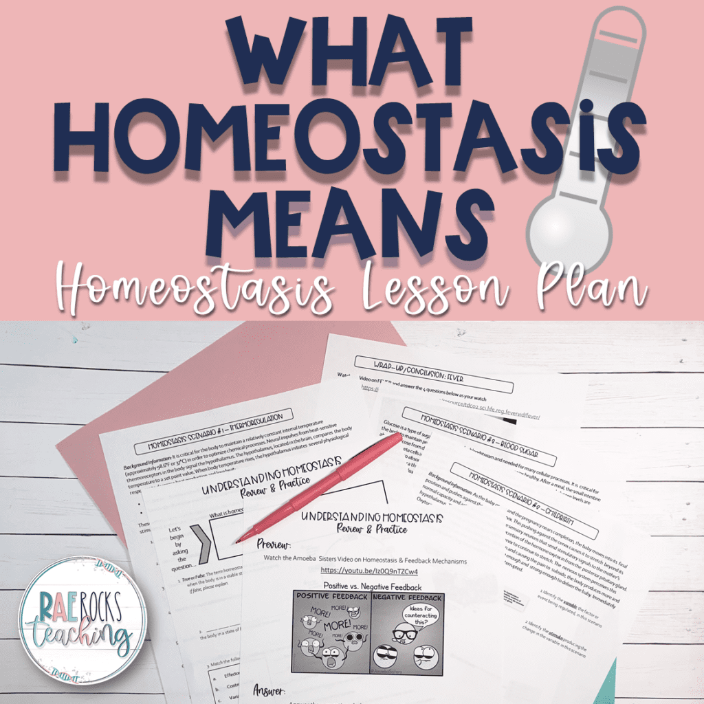 What Homeostasis Means - Rae Rocks Teaching