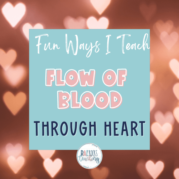 Fun Ways I Teach Flow of Blood Through Heart - Rae Rocks Teaching