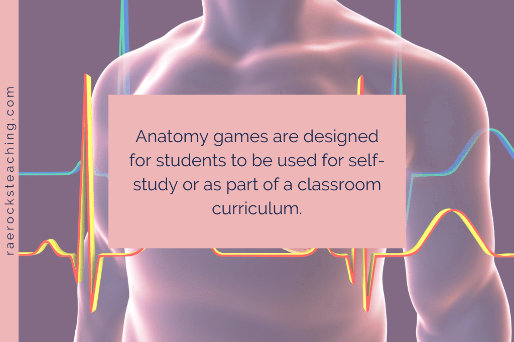 12 of the Best and Most Unique Anatomy Interactive Games - Rae Rocks  Teaching