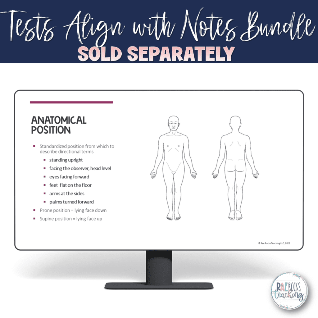 Human Anatomy Study Guides and Tests - Rae Rocks Teaching
