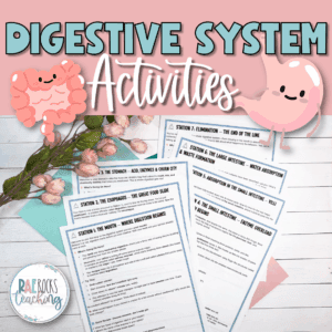 Digestive System Activities