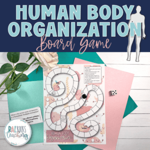 Body Organization