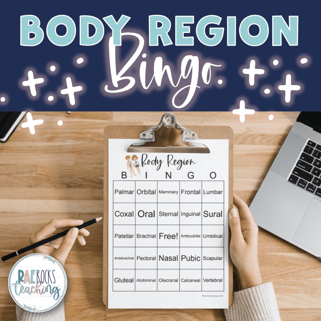 Human Body Region Bingo - Rae Rocks Teaching