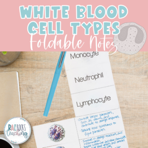5 Types of Leukocytes
