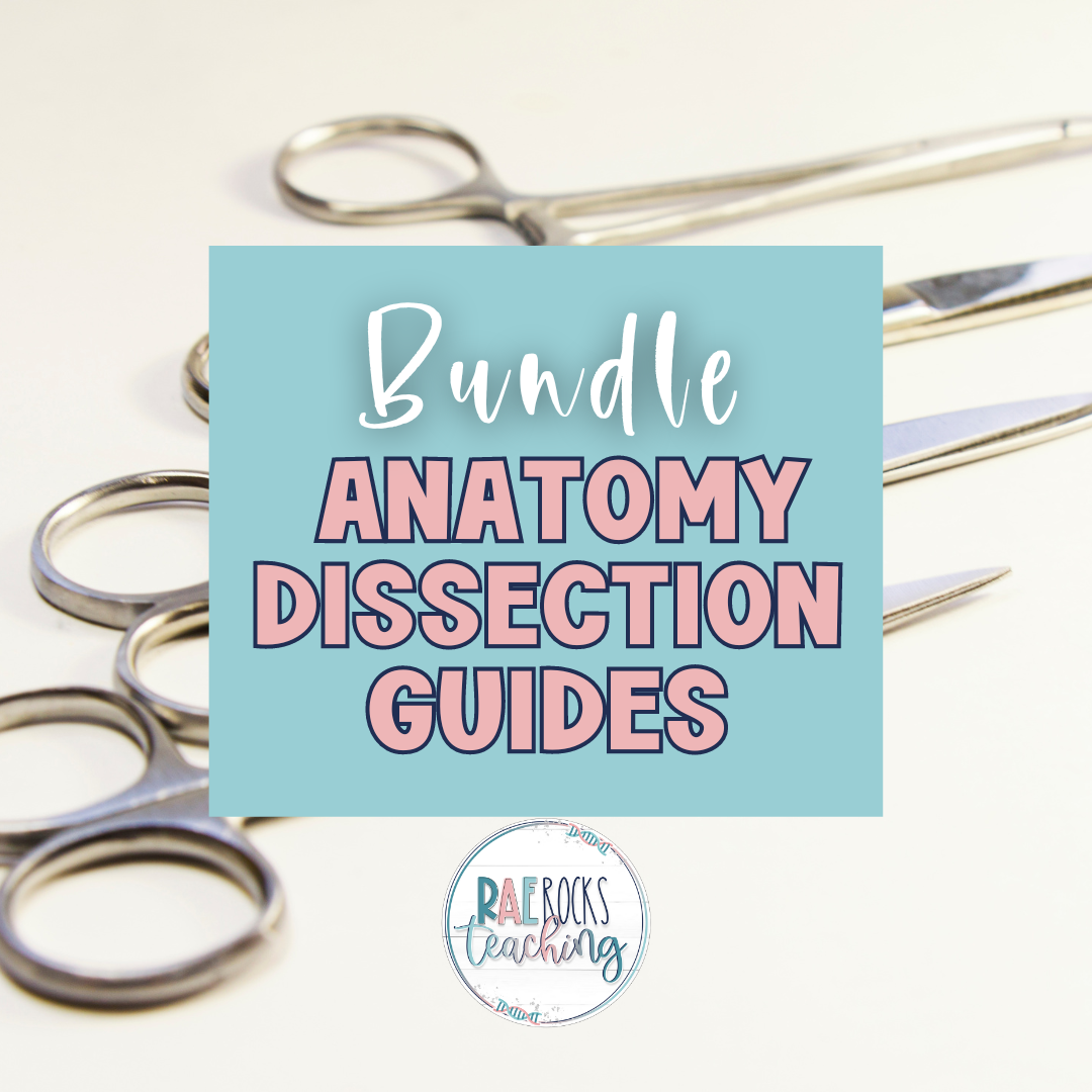 Anatomy Dissection Guide (Bundle)