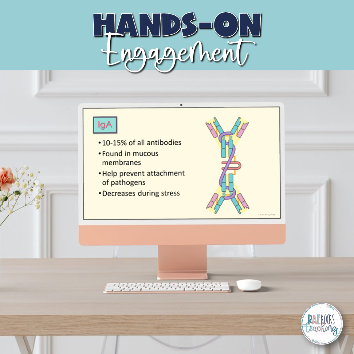 Antibodies in the Body - Image 2