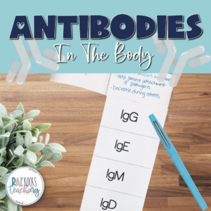 Antibodies in the Body