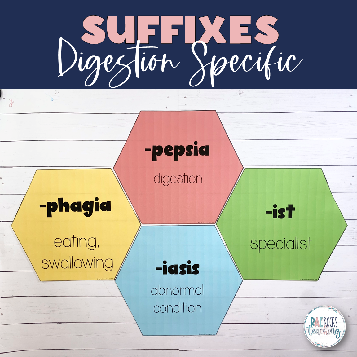 Digestive System Medical Terminology Word Wall - Image 3
