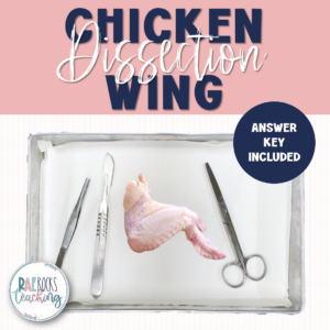 Dissecting Chicken Wing