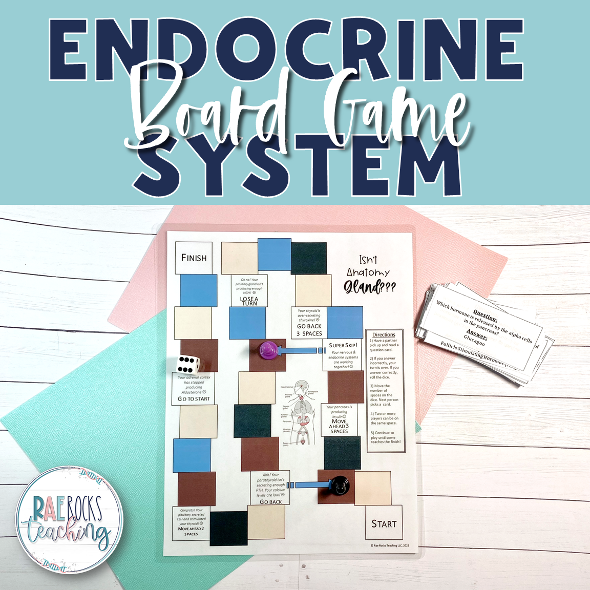 Endocrine System Games