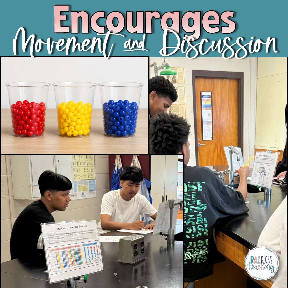 Evolution Lesson Plans | Complete Unit Bundle - Image 3