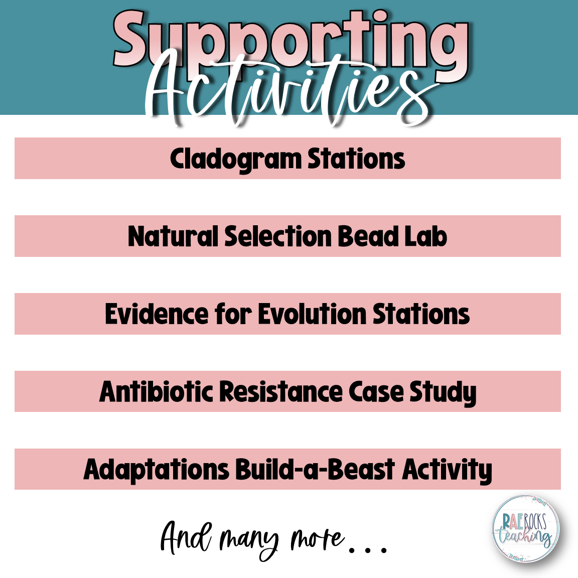 Evolution Lesson Plans | Complete Unit Bundle - Image 4