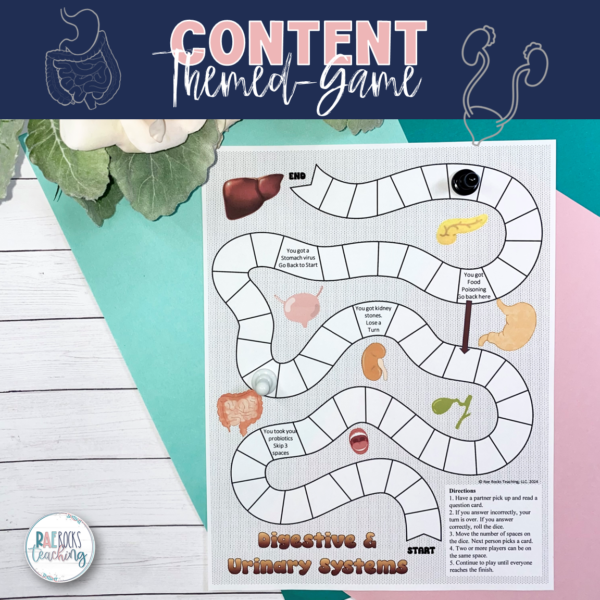 Excretory System Game (Digestive and Urinary Systems) - Rae Rocks Teaching