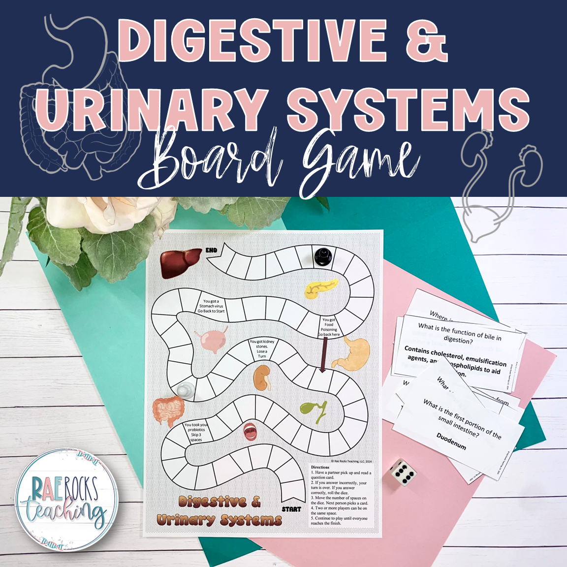 Excretory System Game (Digestive and Urinary Systems)