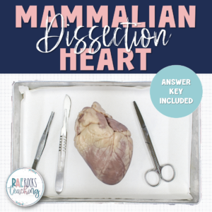 Mammalian Hearts