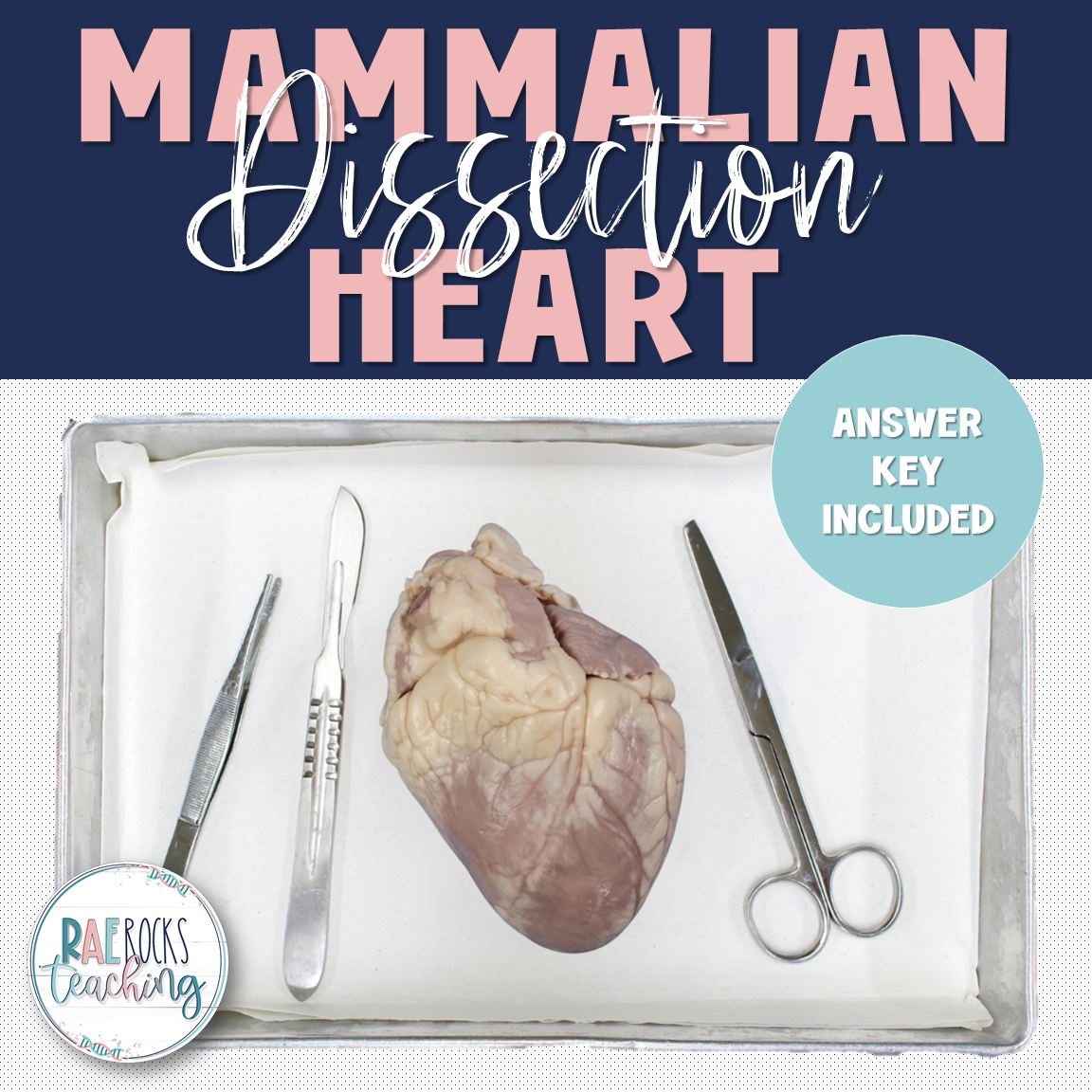 Mammalian Hearts