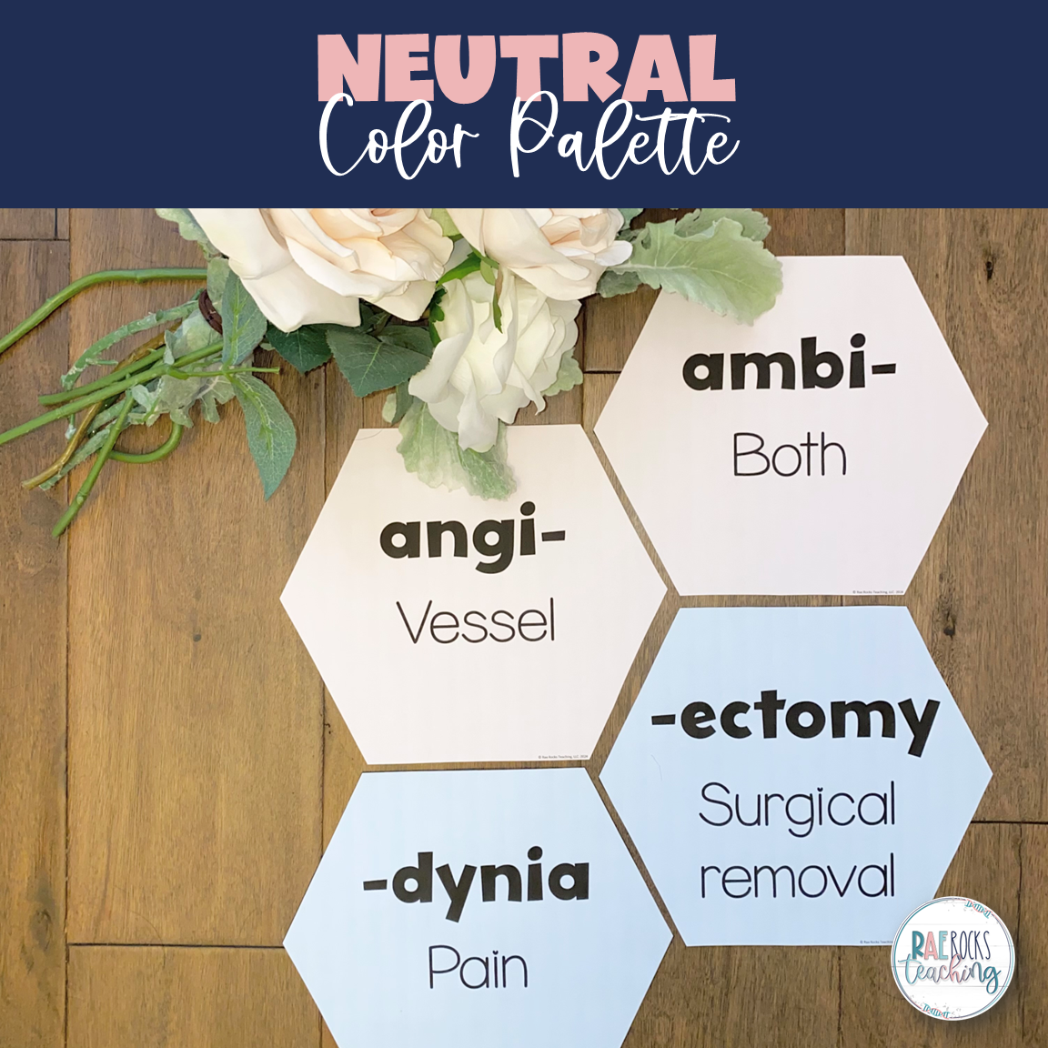 Medical Prefixes Suffixes (Word Wall) - Image 4