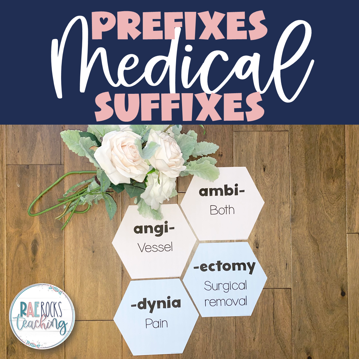 Medical Prefixes Suffixes (Word Wall)